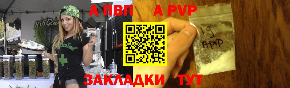 A PVP СК Новозыбков