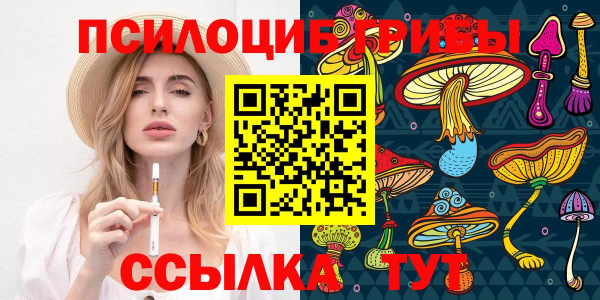 Галлюциногенные грибы Cubensis  Галлюциногенные грибы Psilocybe  купить   Новозыбков  Вход с VPN 